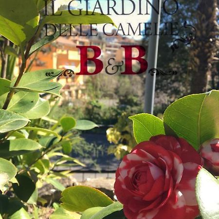 B&B Il Giardino Delle Camelie Palestrina Zewnętrze zdjęcie