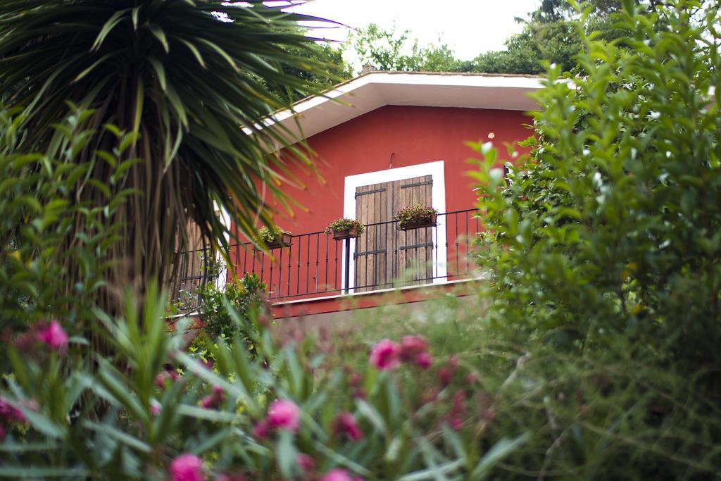 B&B Il Giardino Delle Camelie Palestrina Zewnętrze zdjęcie