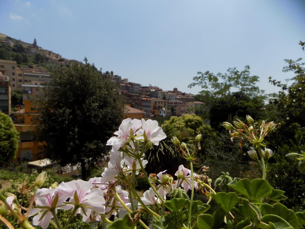 B&B Il Giardino Delle Camelie Palestrina Zewnętrze zdjęcie
