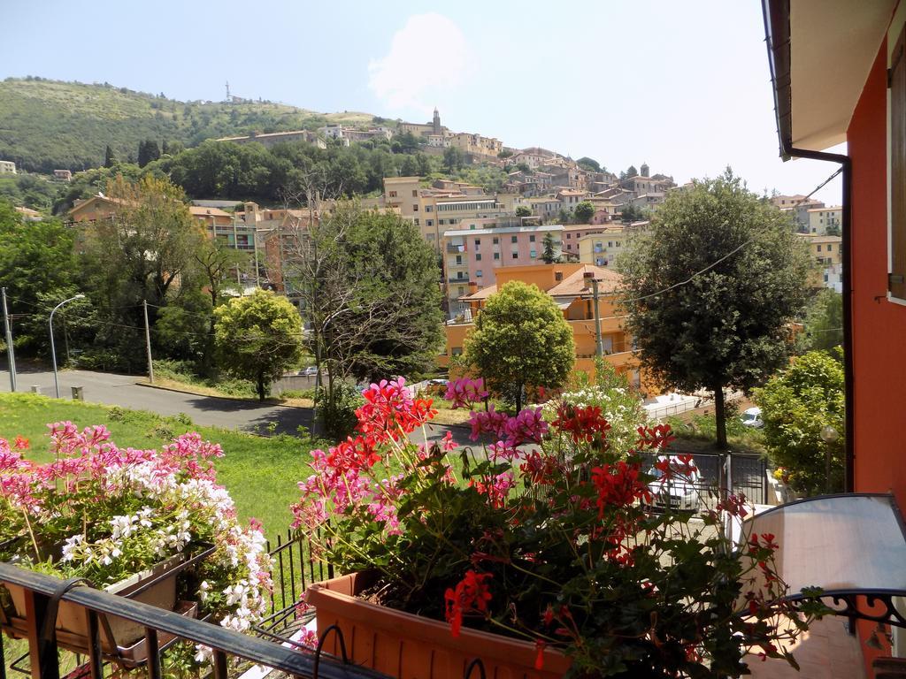 B&B Il Giardino Delle Camelie Palestrina Zewnętrze zdjęcie