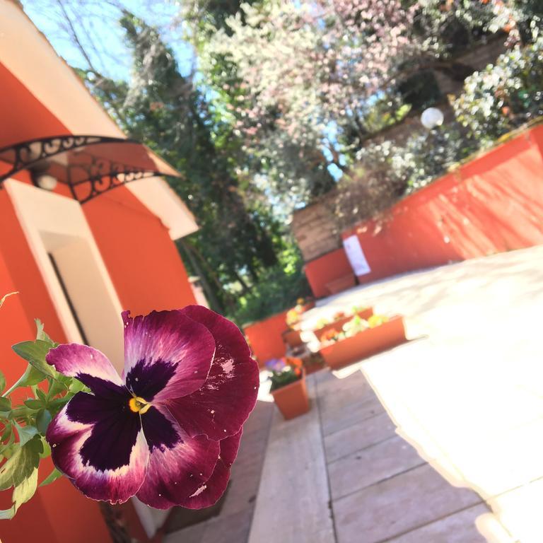 B&B Il Giardino Delle Camelie Palestrina Zewnętrze zdjęcie