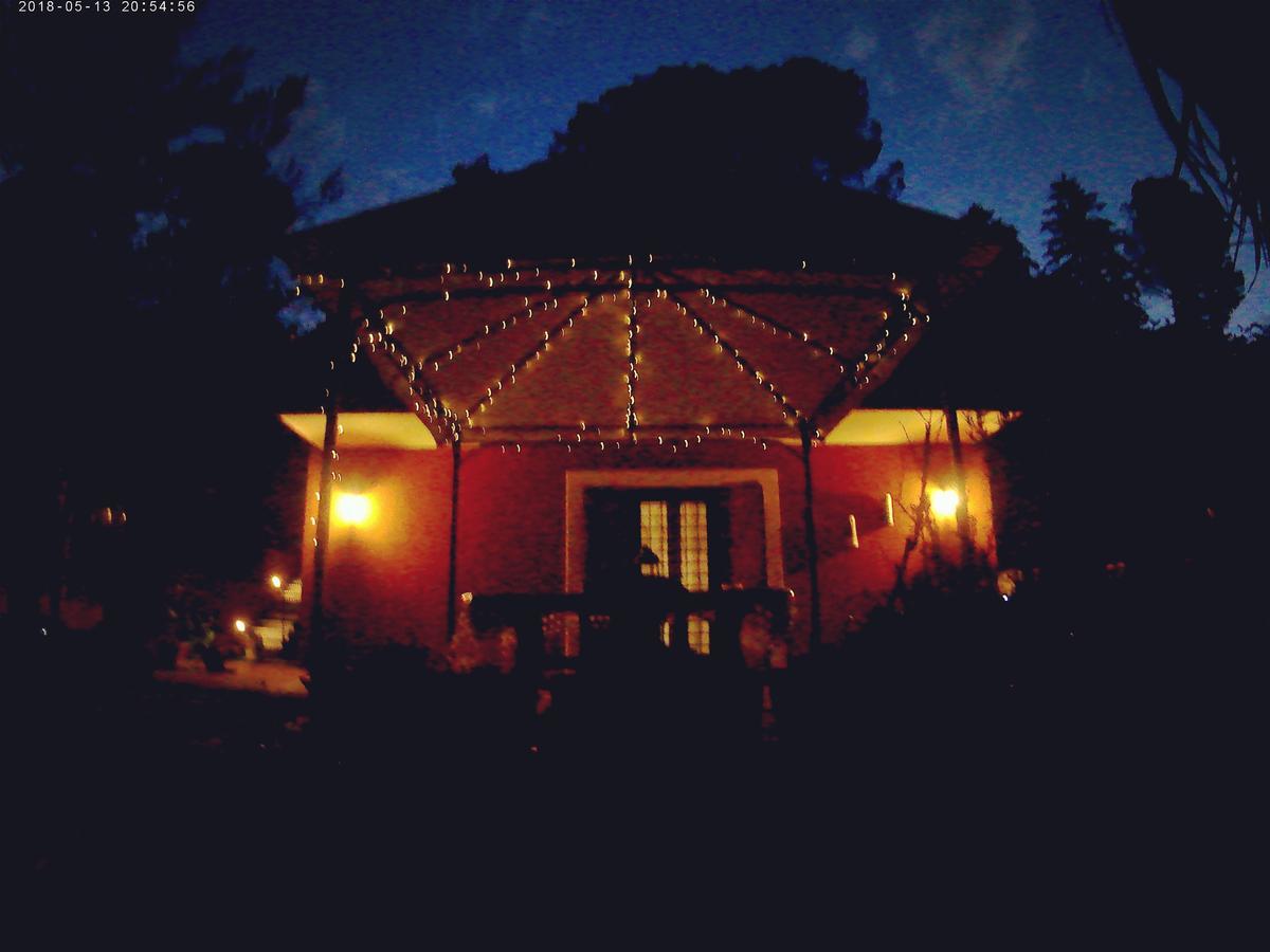 B&B Il Giardino Delle Camelie Palestrina Zewnętrze zdjęcie
